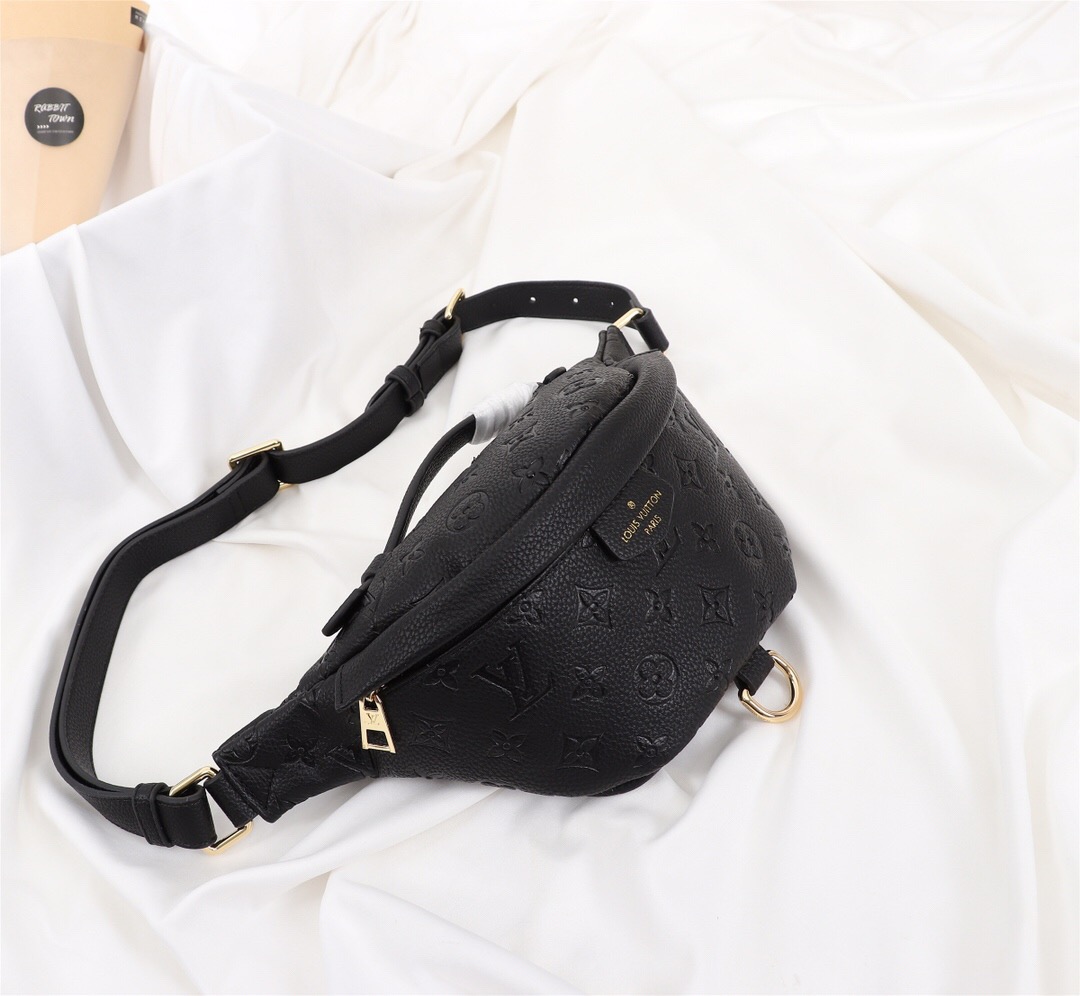LV Waist Bag