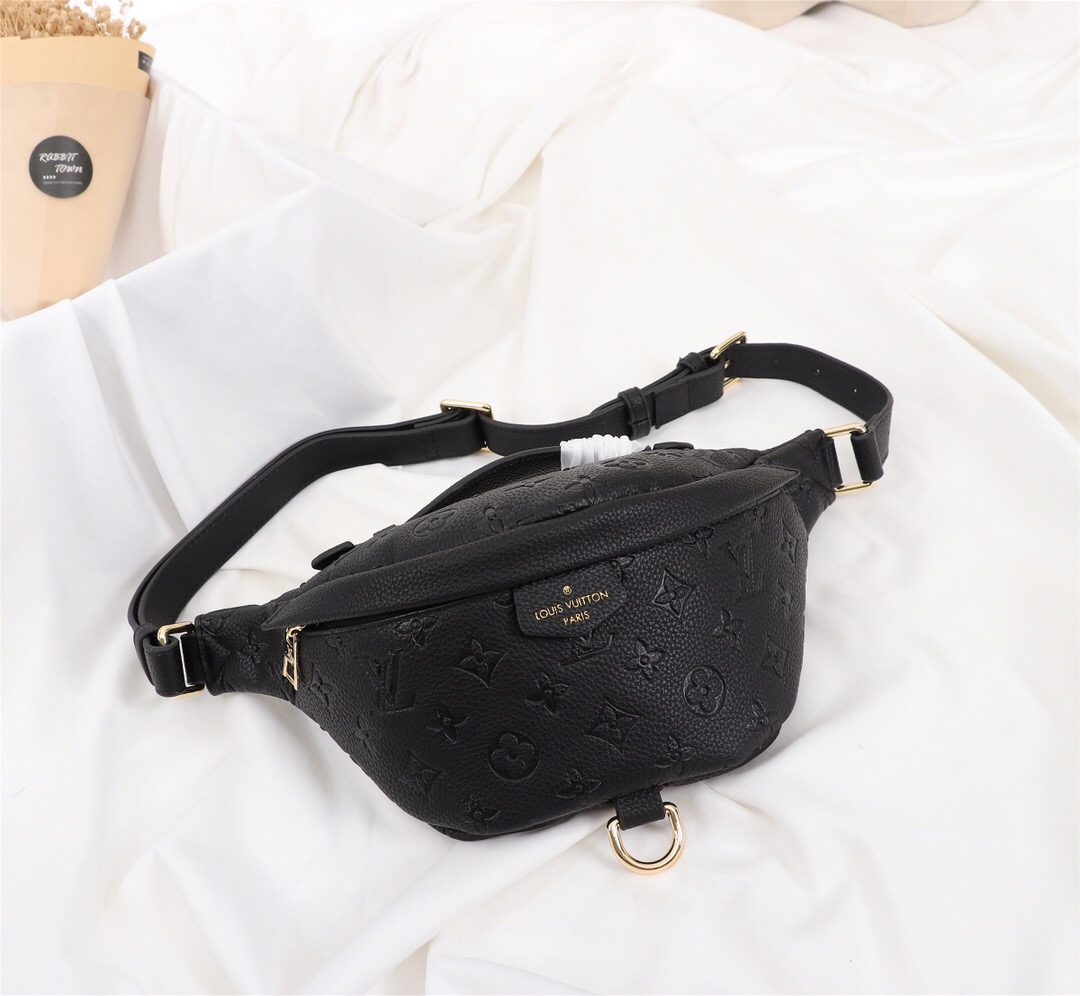 LV Waist Bag
