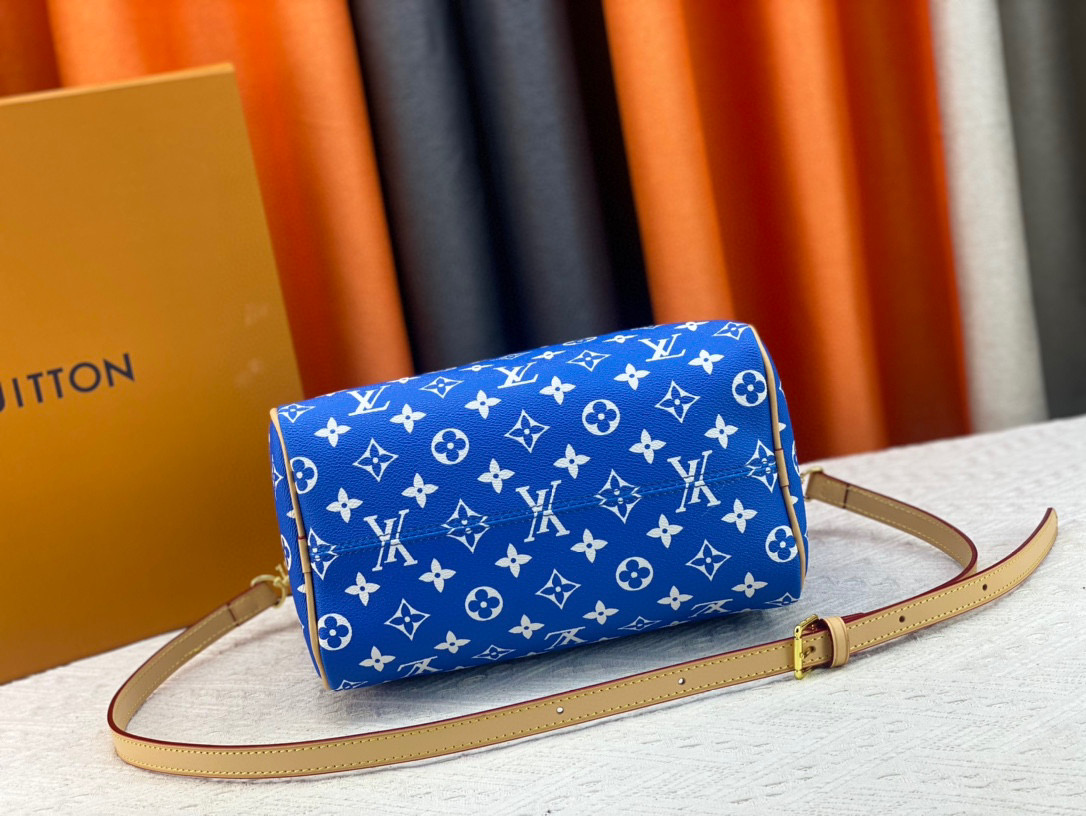 LV speedy Bag