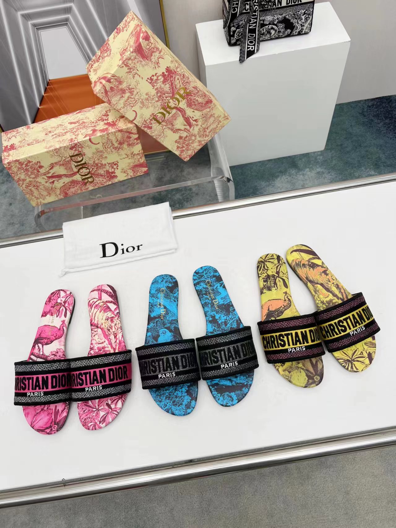 DIOR SLIDES