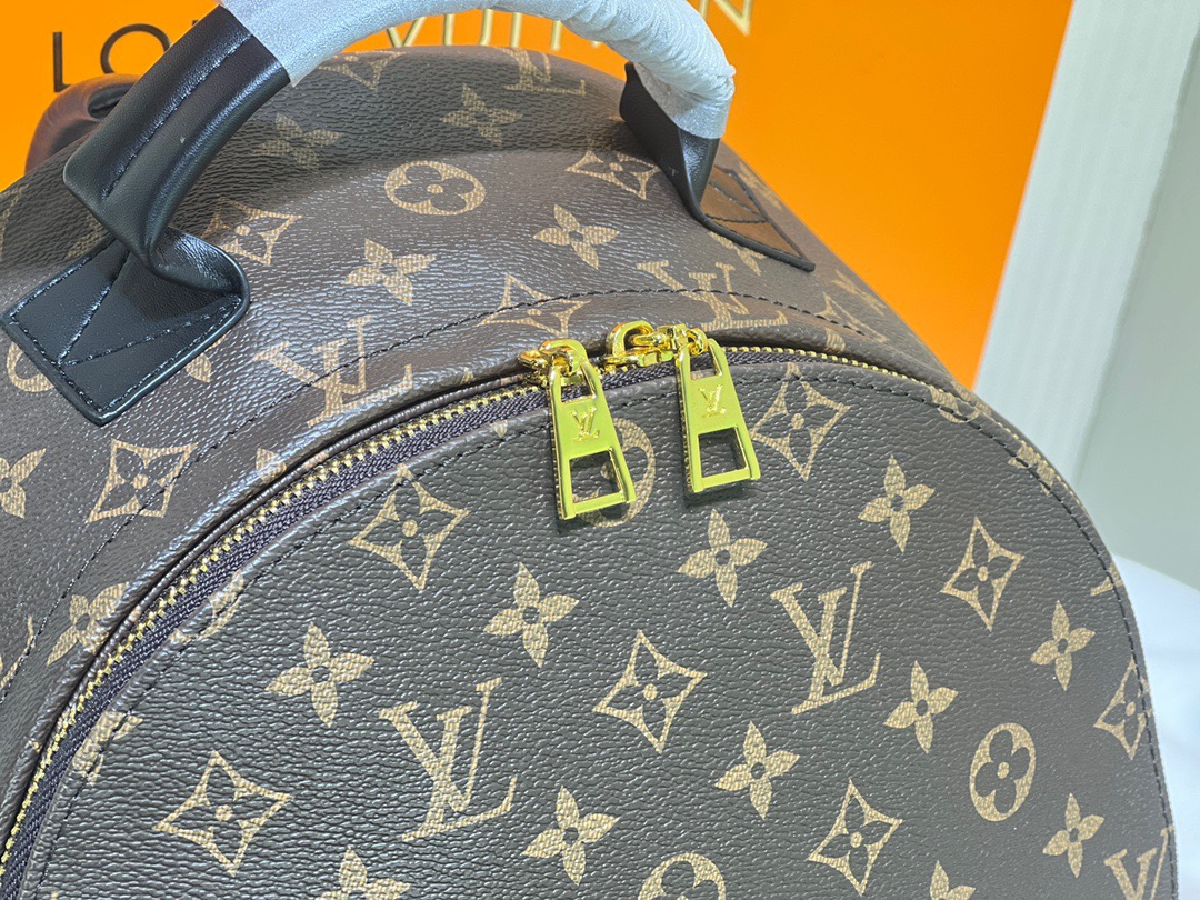 LV Backpack (33cm)