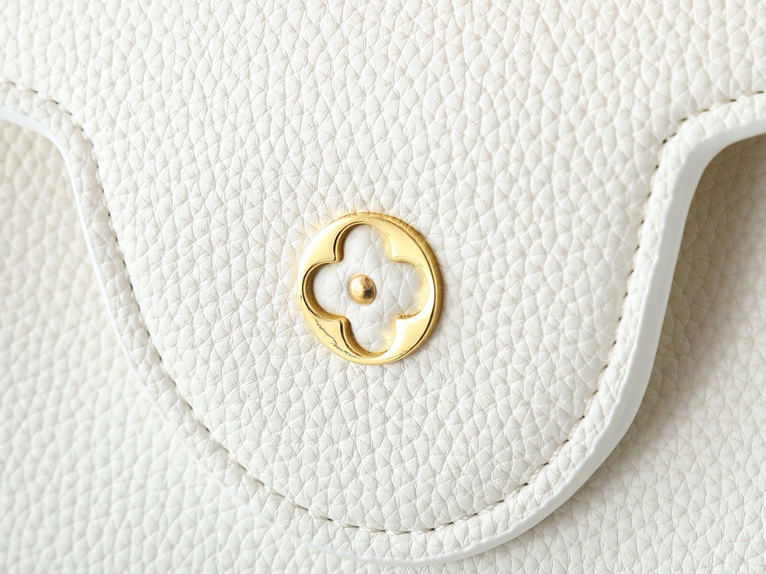 LV Capucines BB Handbags