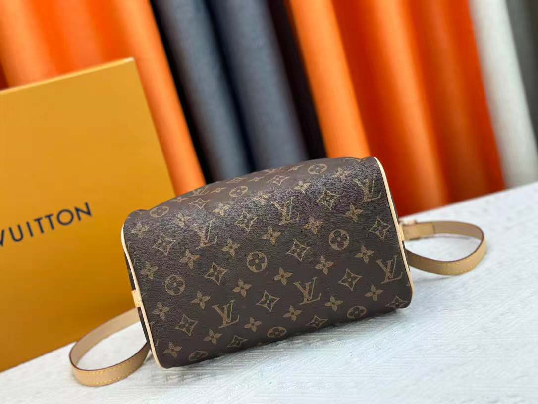 LV Speedy Bag (30cm)