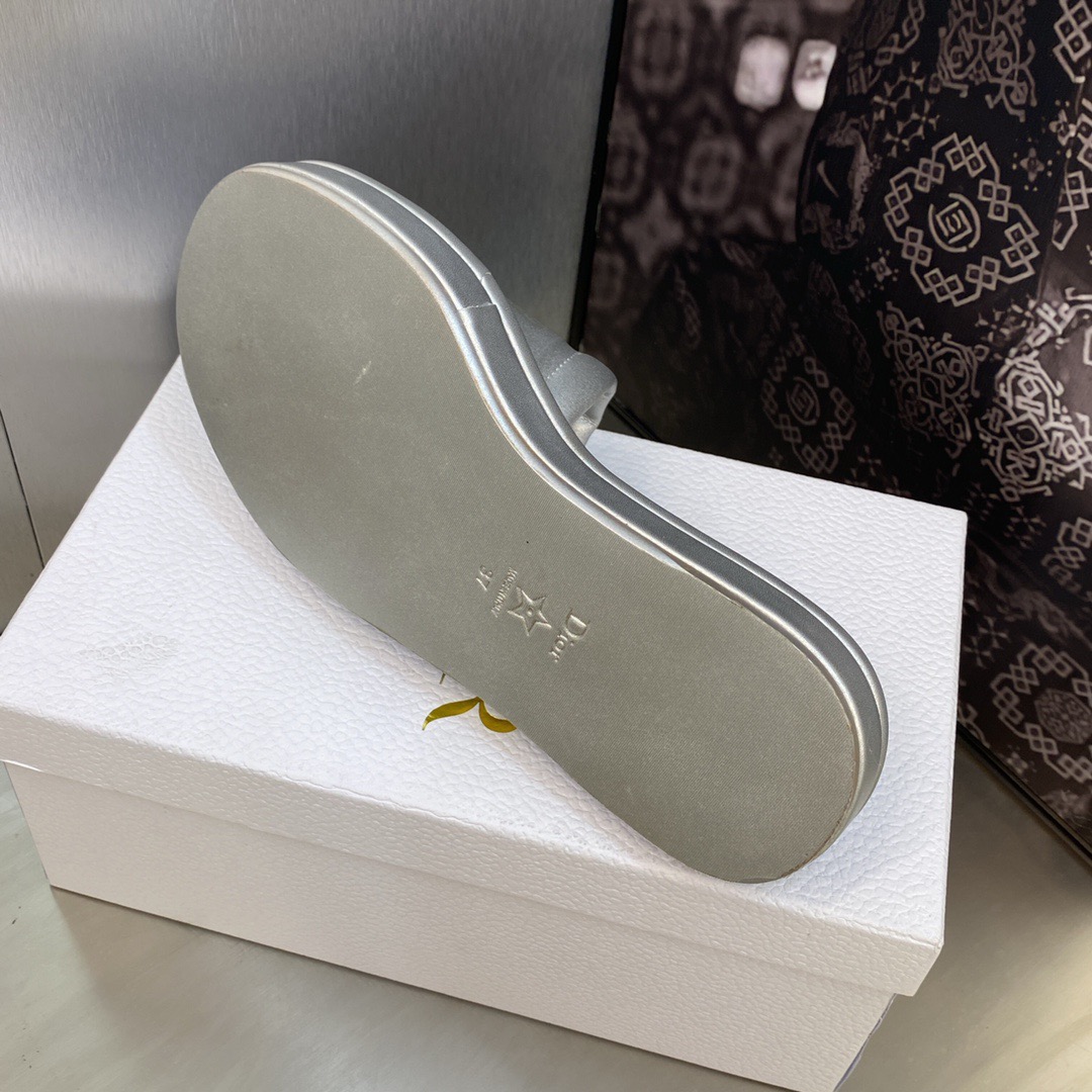 DIOR EVERY-D Slides