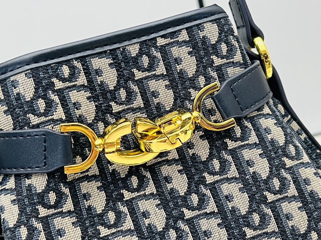 DIOR C‘est Handbag