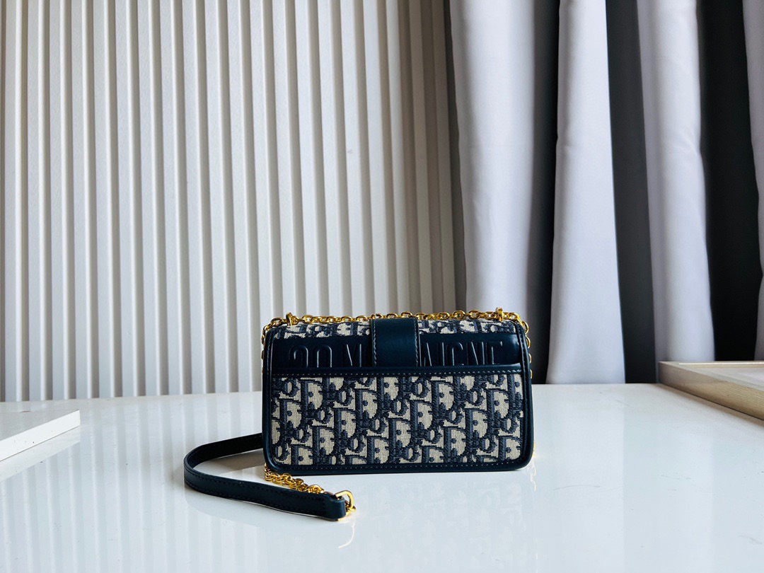 DIOR MONTAIGNE Chain Bag