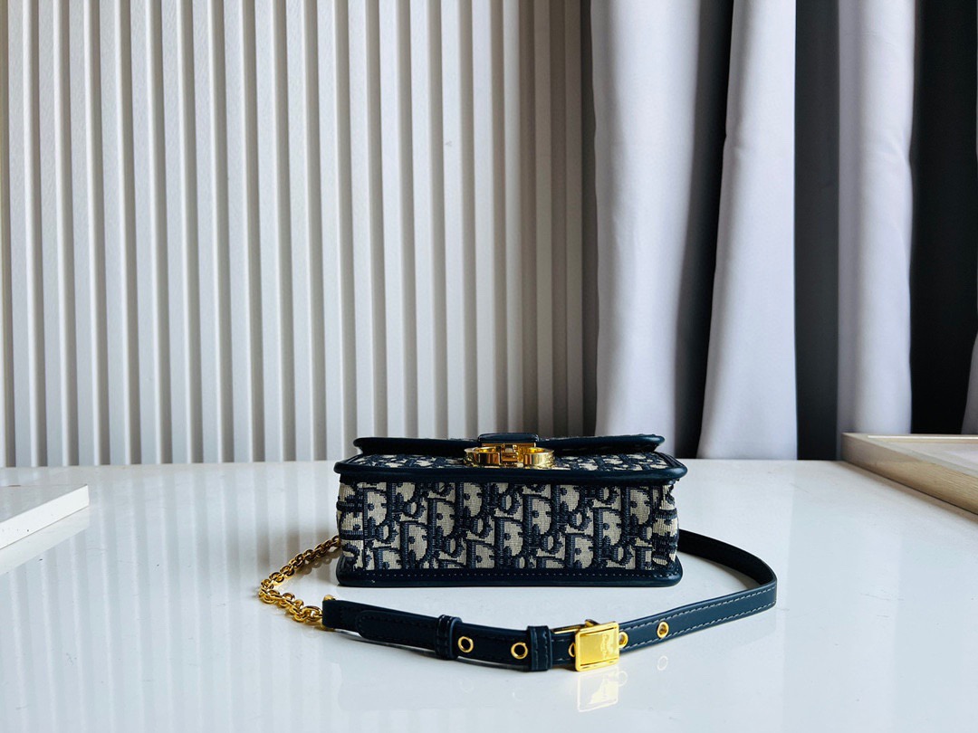 DIOR MONTAIGNE Chain Bag