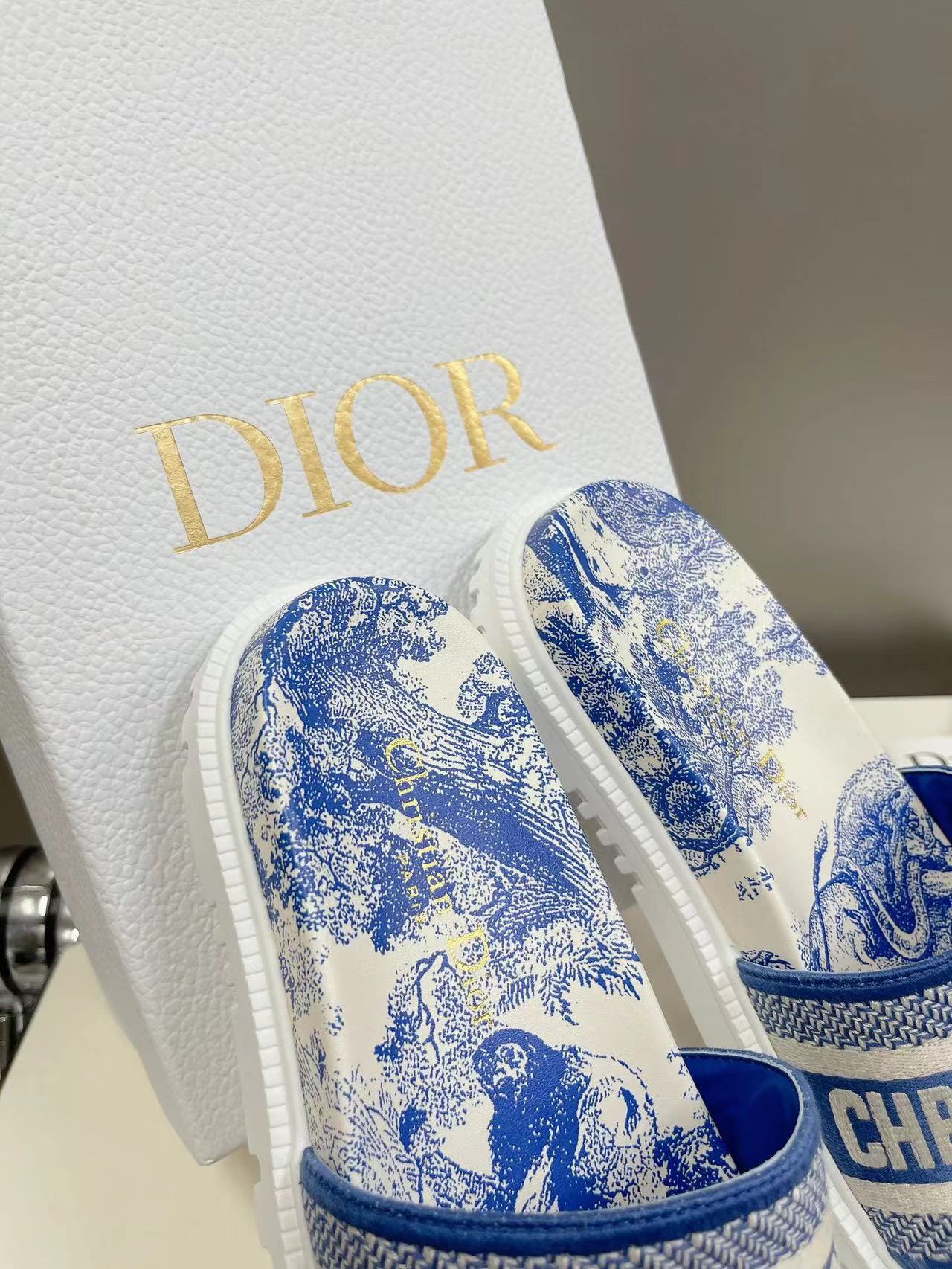 DIOR Slippers