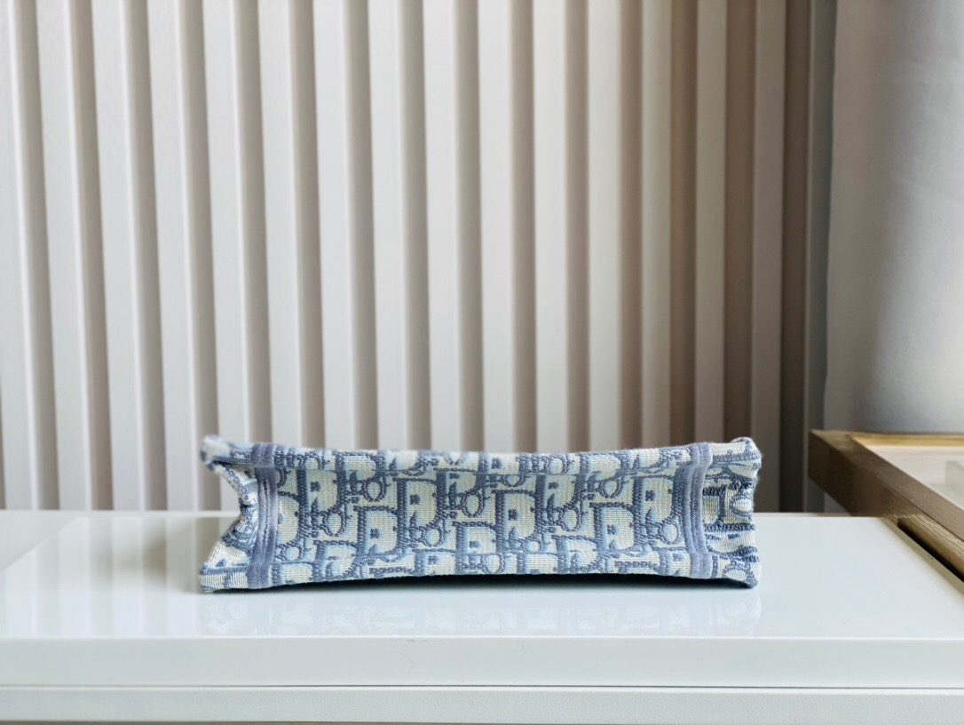 DIOR Mini Book Tote handbag