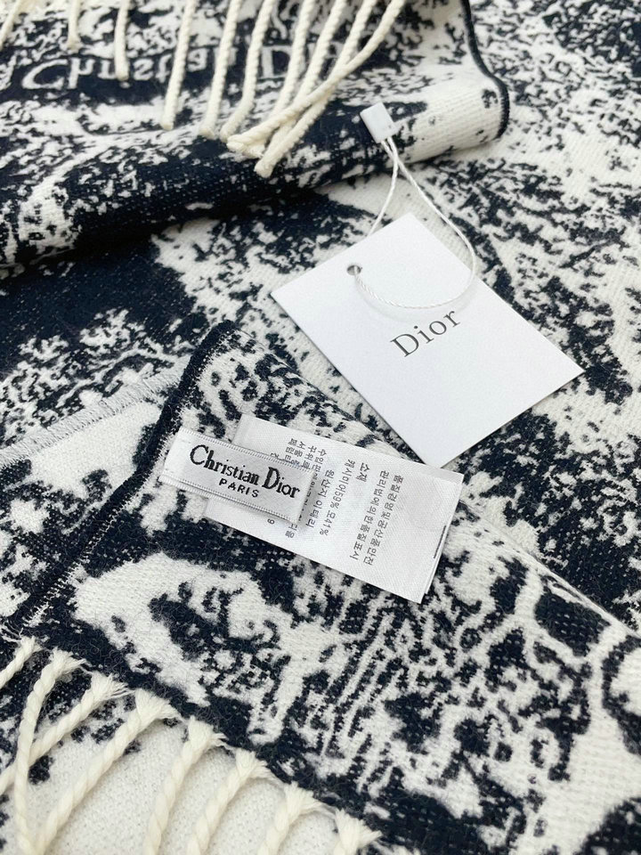 DIOR  Scarf