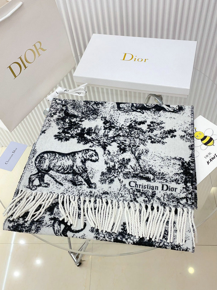 DIOR  Scarf