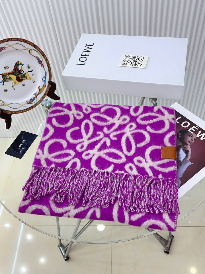 LOEWE Scarf