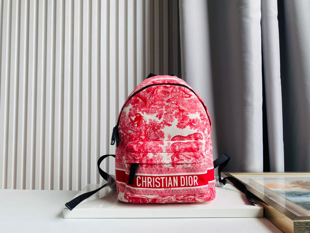 DIOR BAG