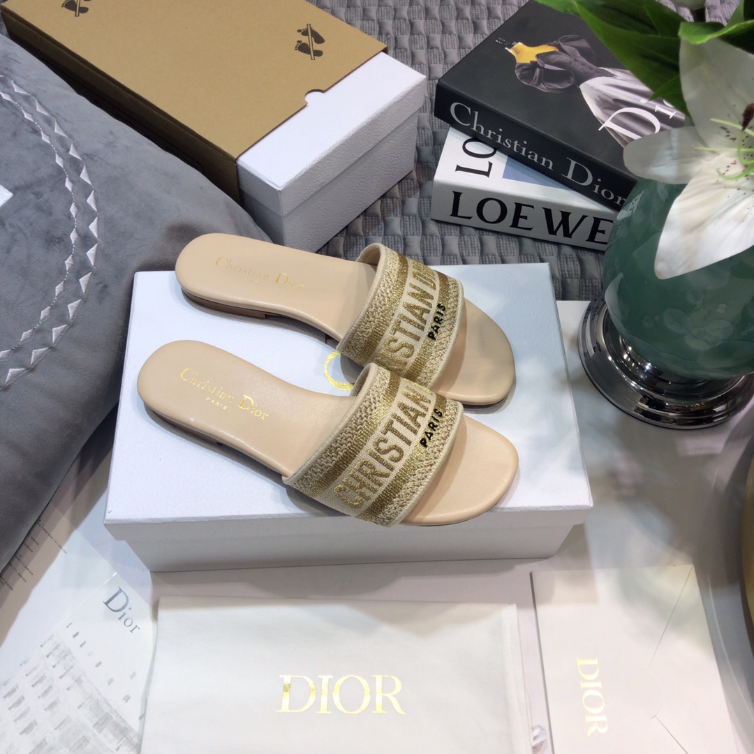 DIOR SLIDES