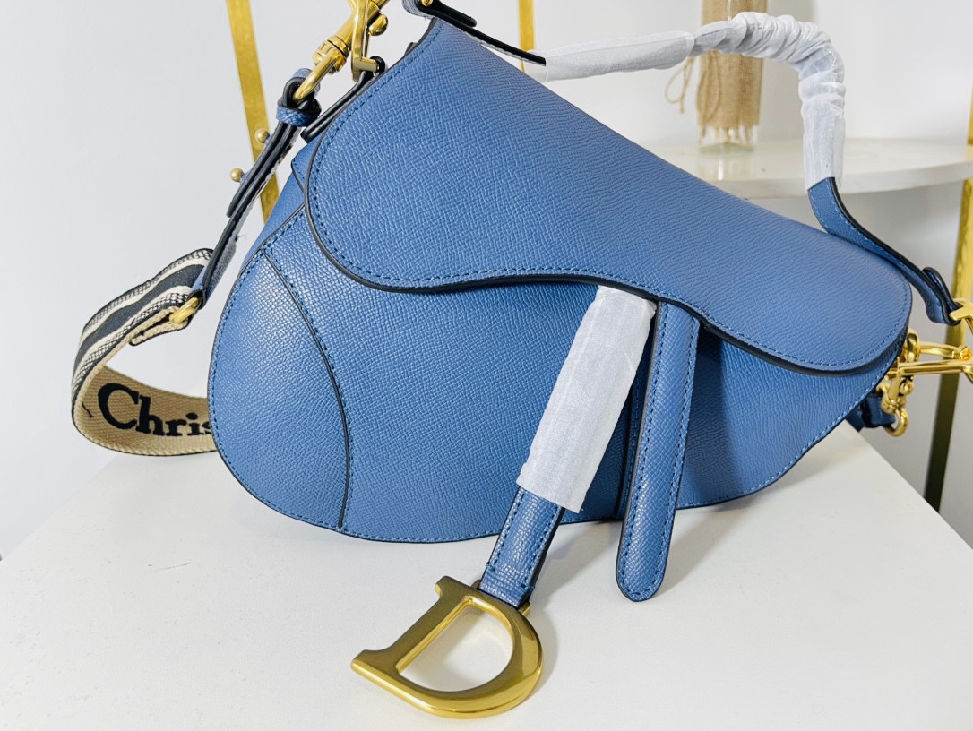 DIOR CD SADDLE BAG