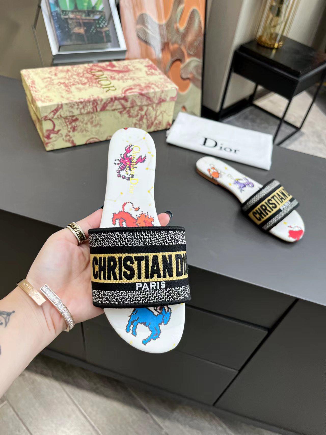 DIOR SLIDES