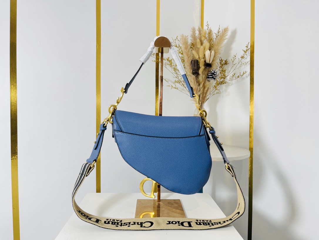 DIOR CD SADDLE BAG