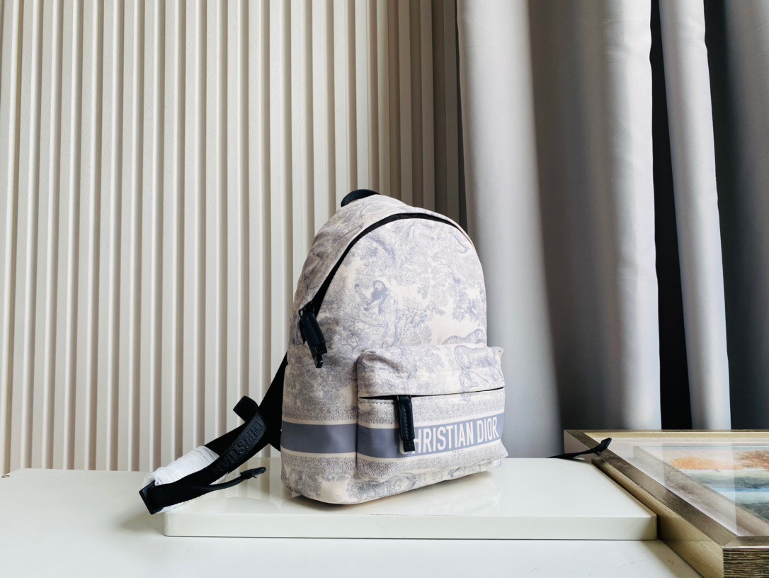 DIOR BAG