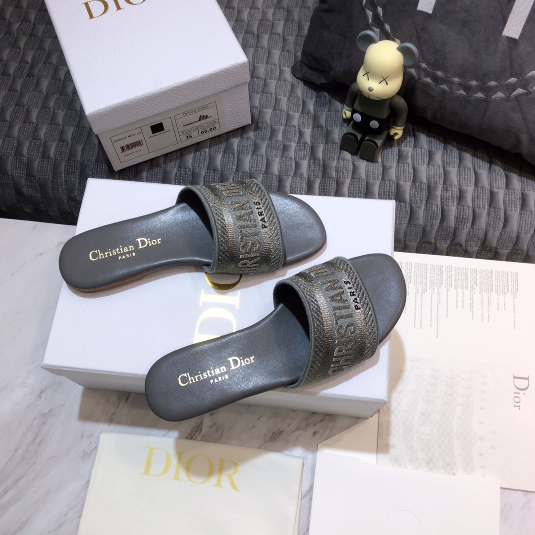 DIOR SLIDES