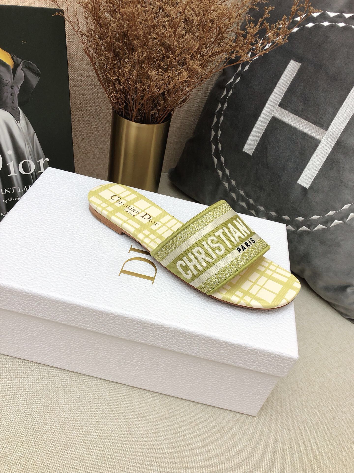 DIOR SLIDES