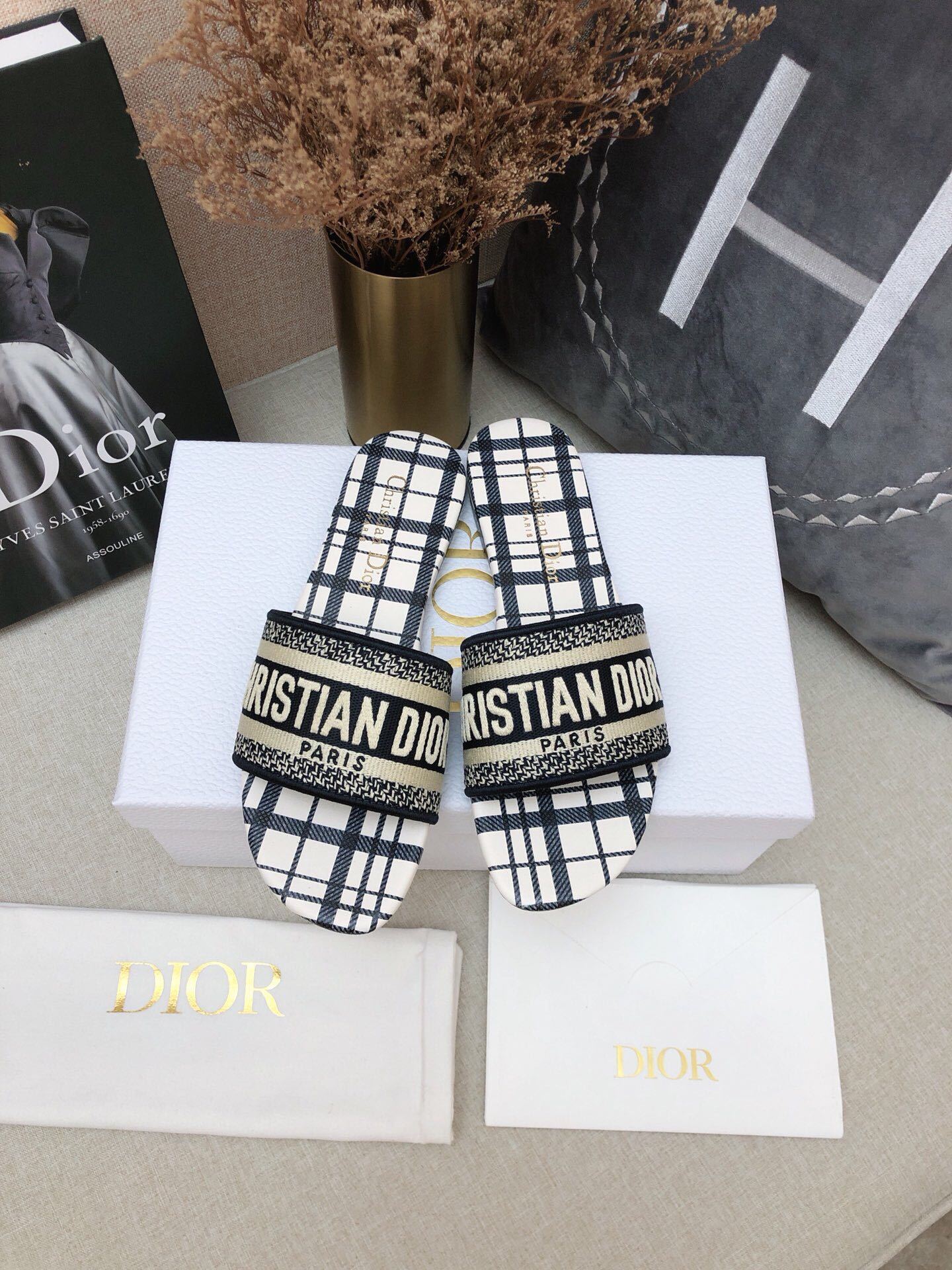DIOR SLIDES