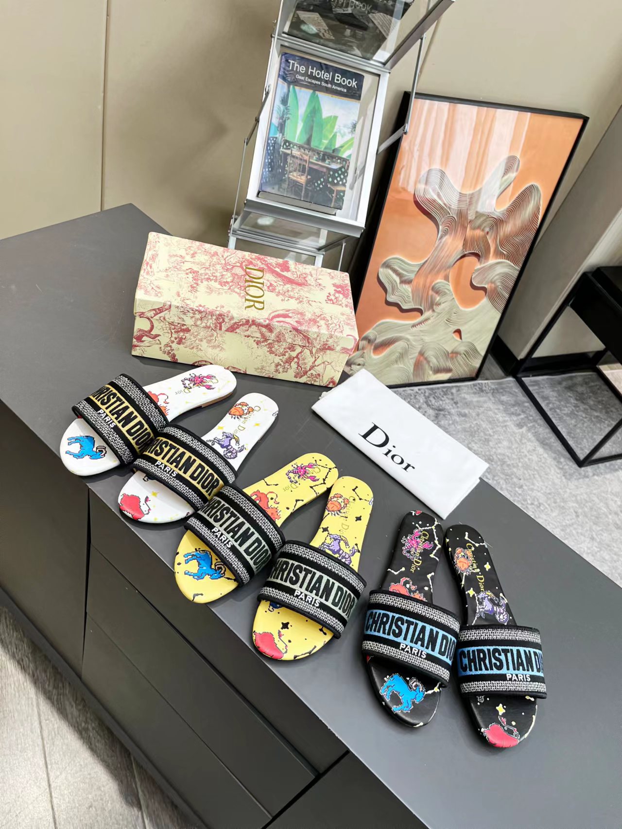 DIOR SLIDES