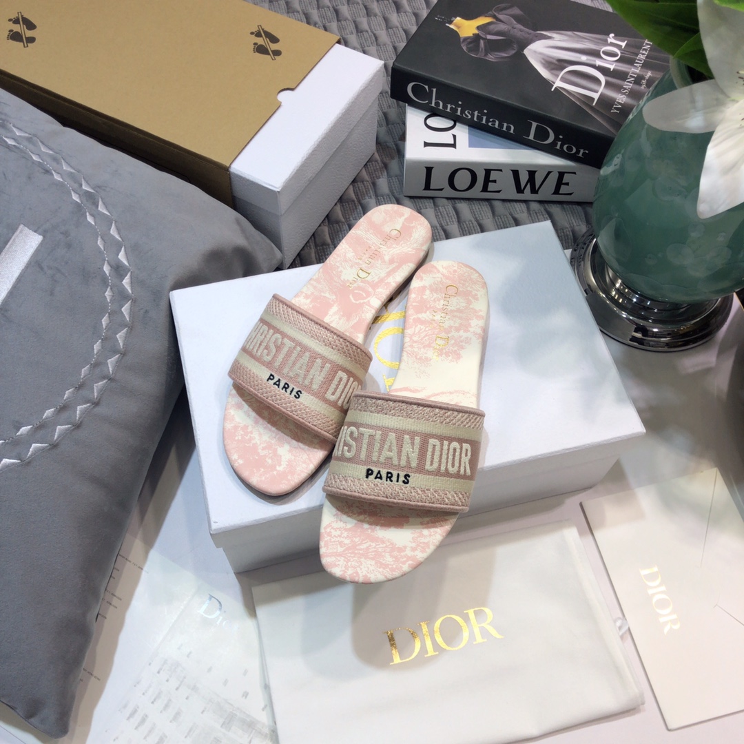 DIOR SLIDES