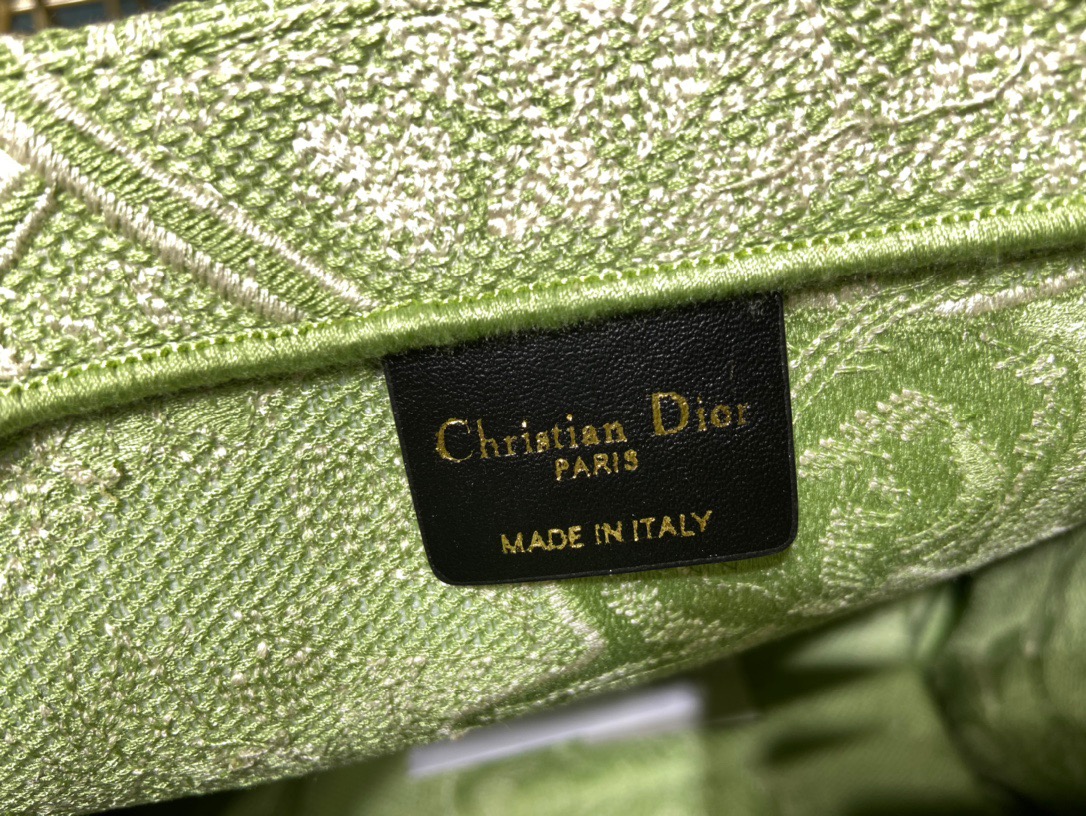 DIOR BAG