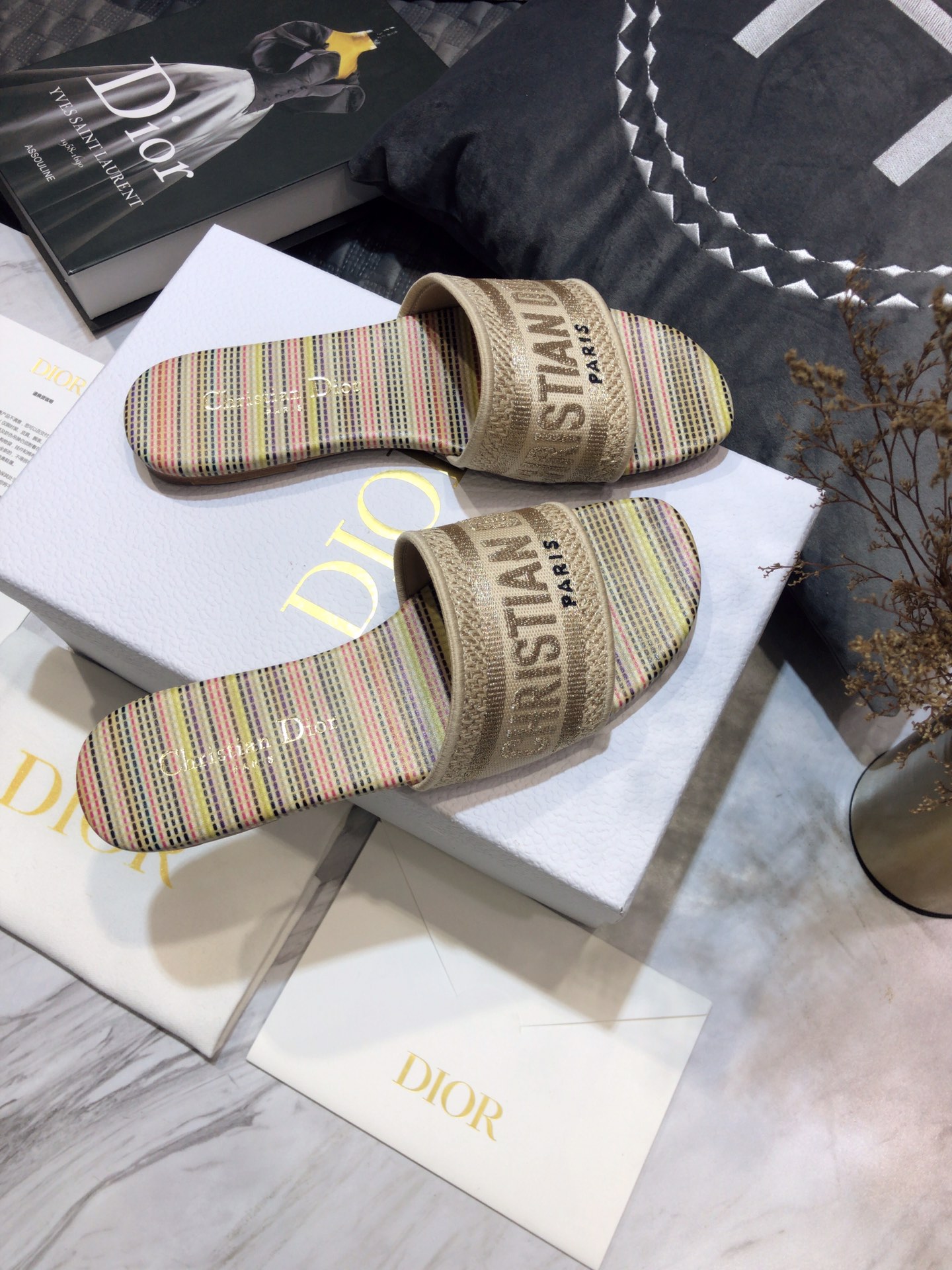 DIOR SLIDES