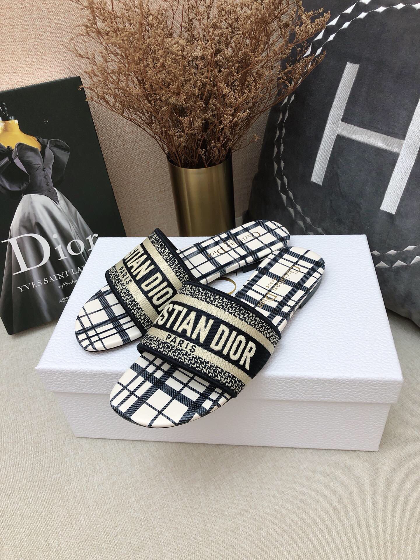 DIOR SLIDES
