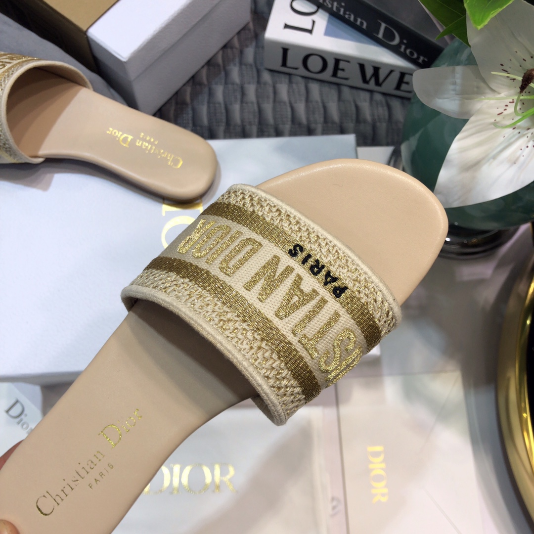 DIOR SLIDES