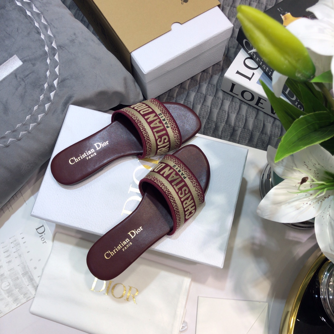 DIOR SLIDES
