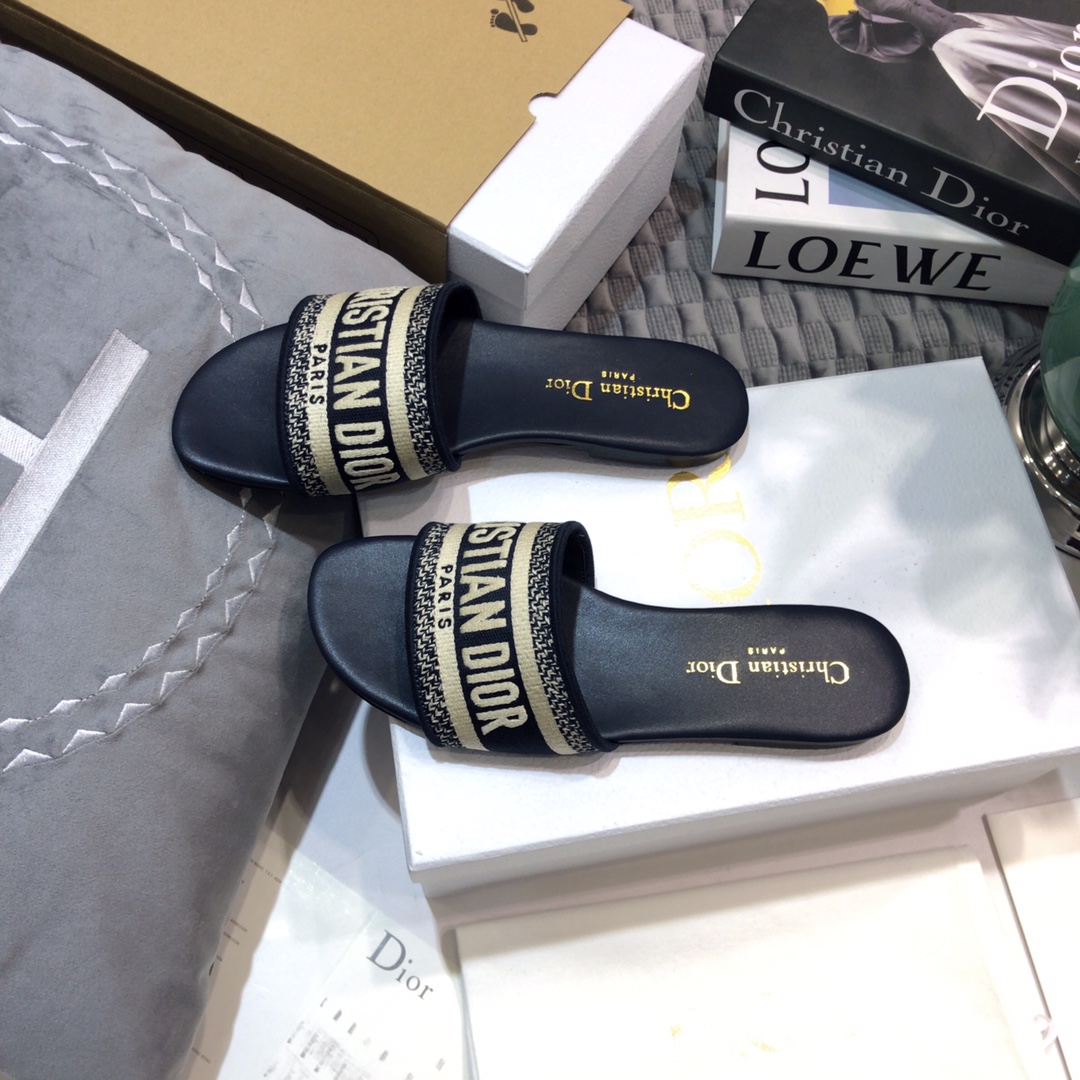 DIOR SLIDES