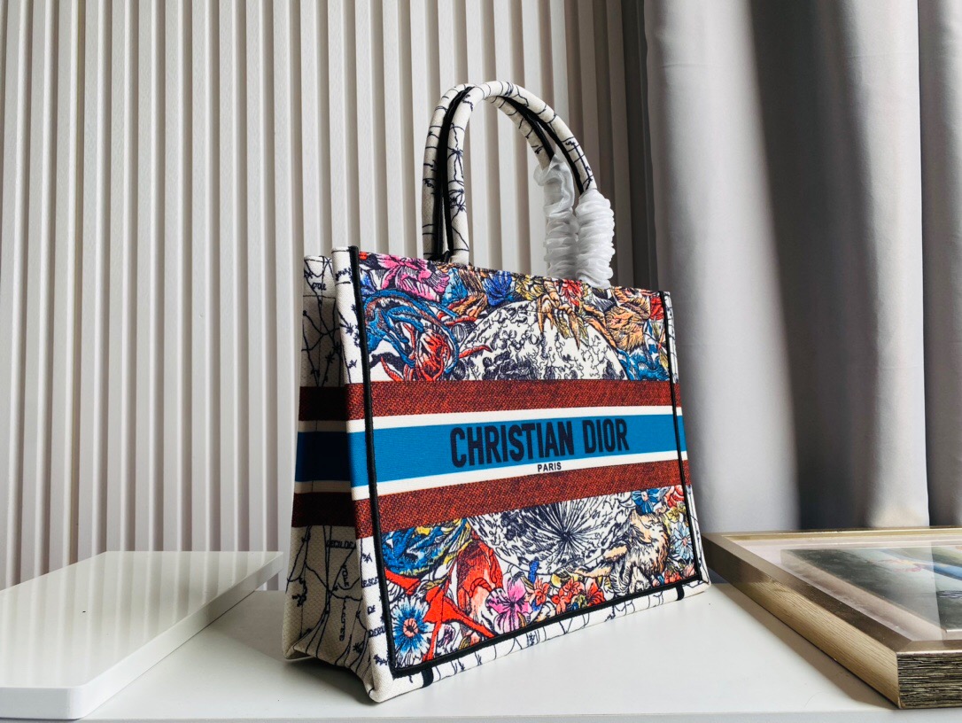 DIOR BAG