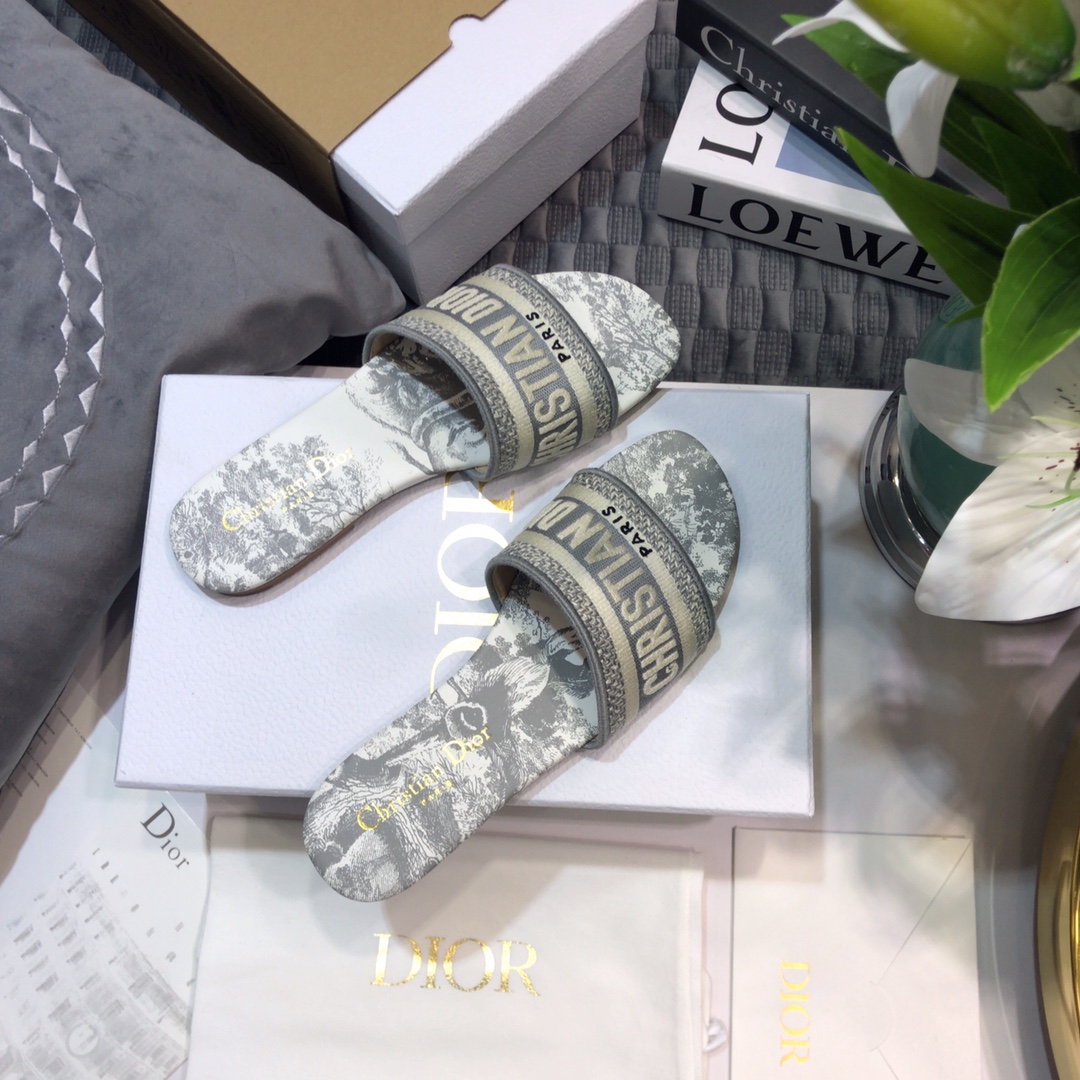 DIOR SLIDES