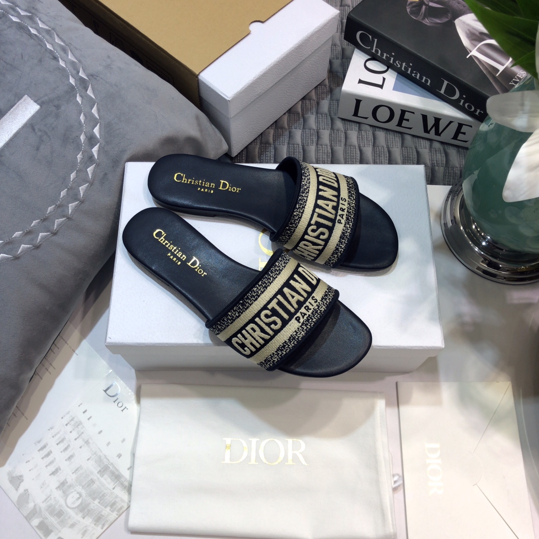 DIOR SLIDES