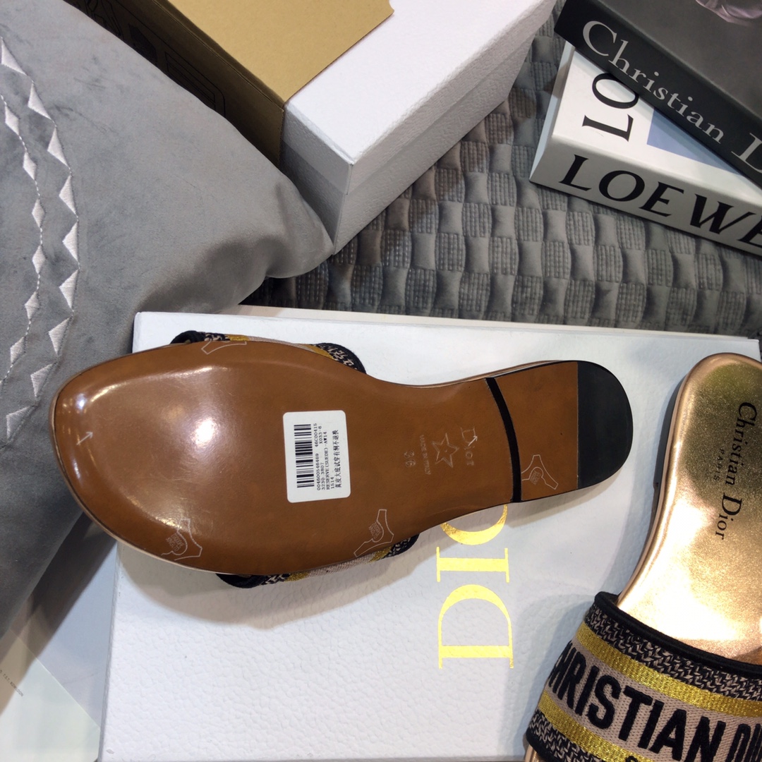 DIOR SLIDES