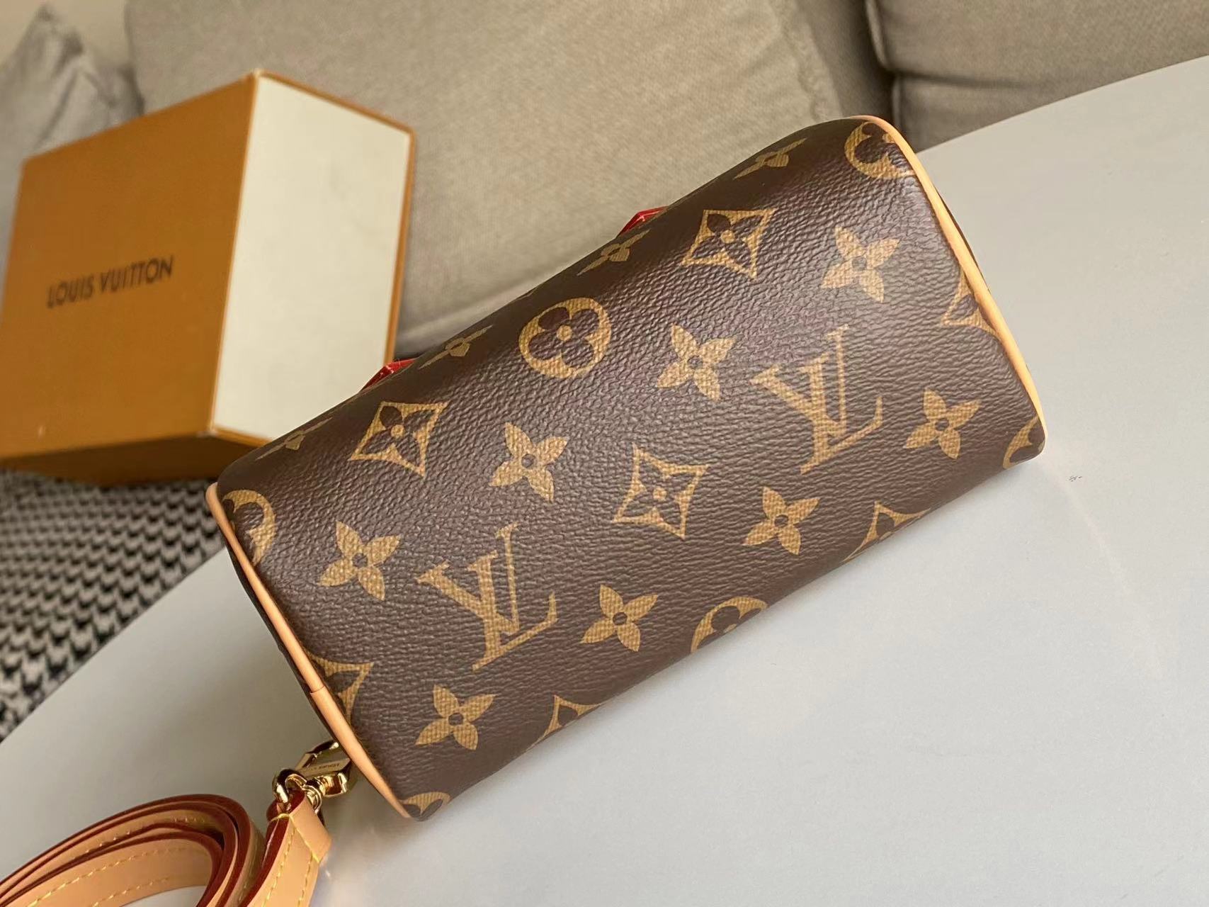 Louis Vuitton Bag