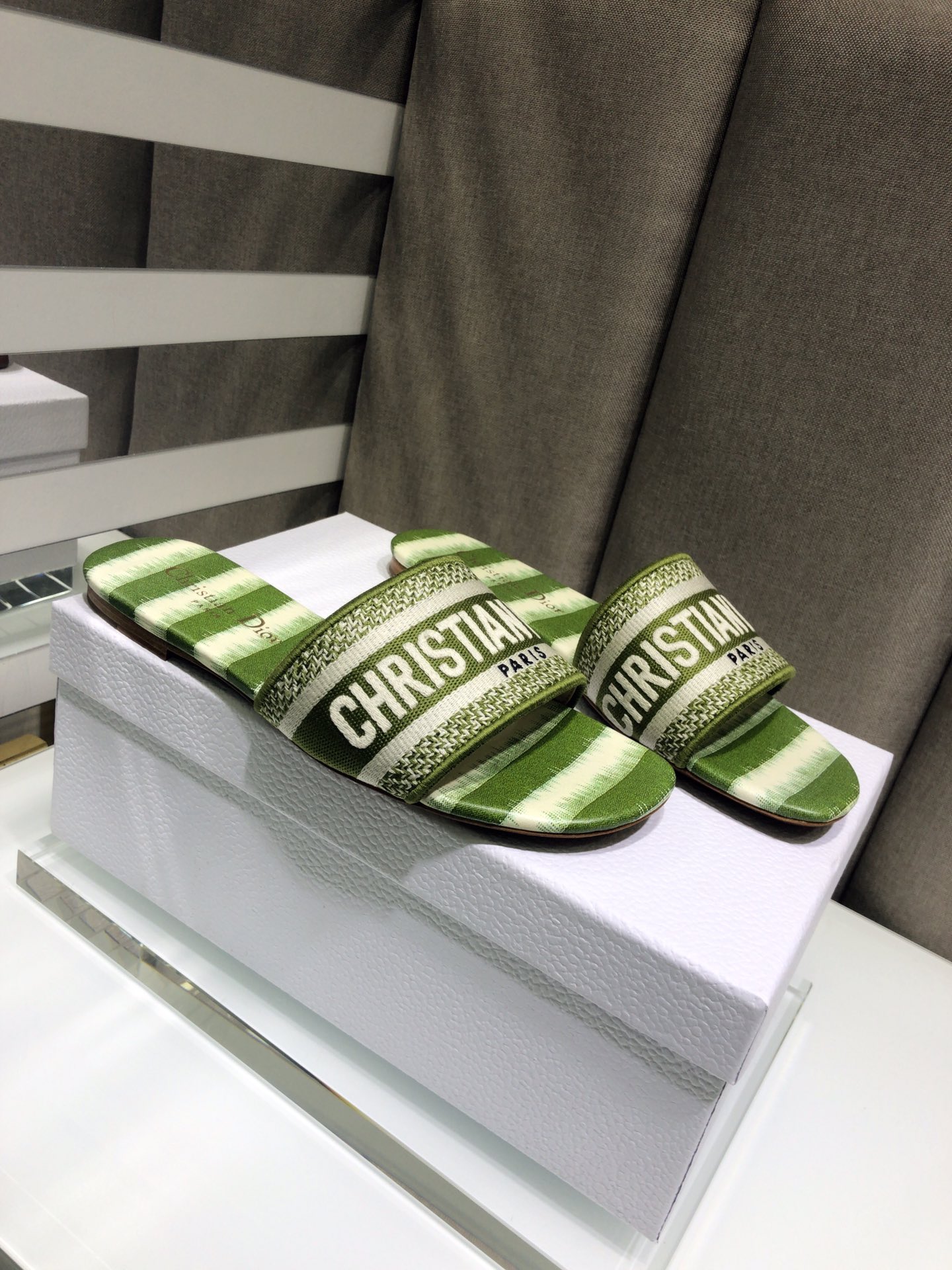 DIOR SLIDES