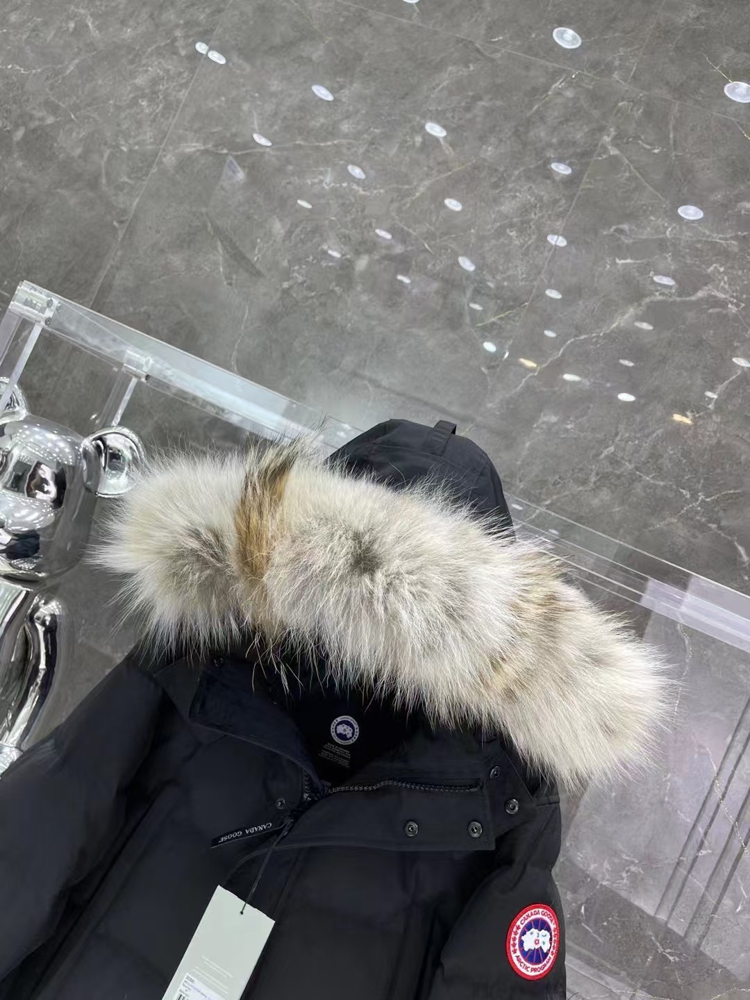 CANADA GOOSE down jacket