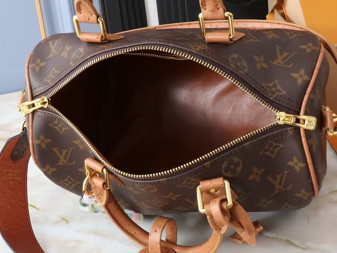 LV Bag (best quality)