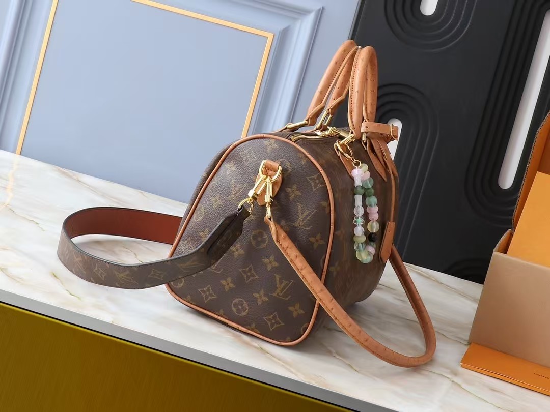LV Bag (best quality)