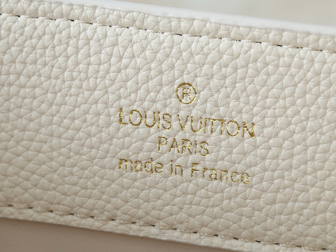 LV Capucines BB Handbags