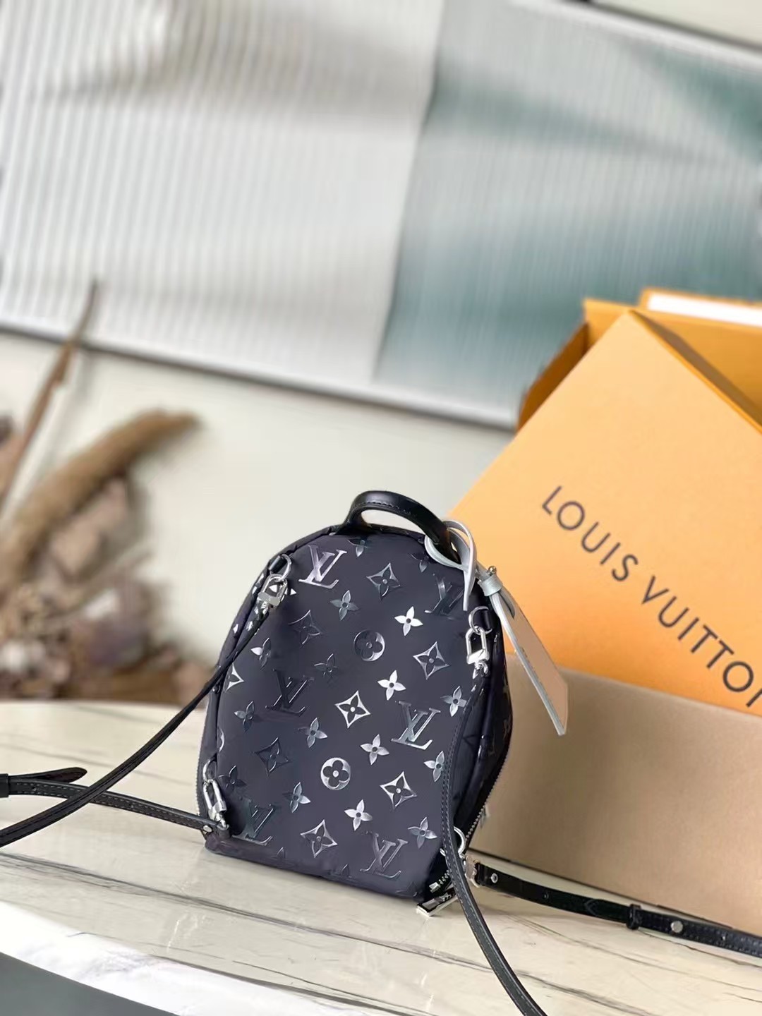 LV Backpack (best quality）