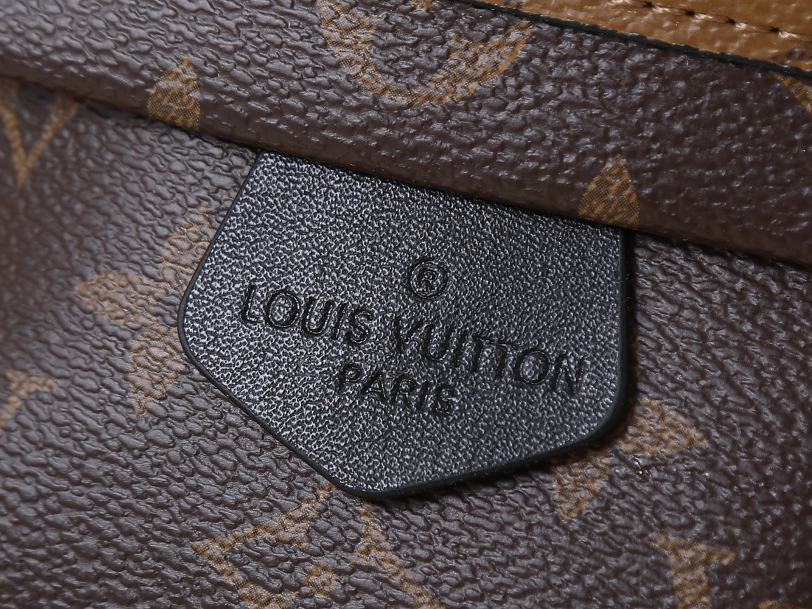 LV bag